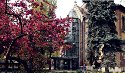 布达佩斯技术与经济大学2014春季风景