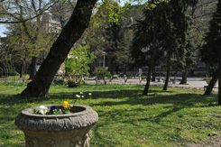 布达佩斯技术与经济大学2014春季